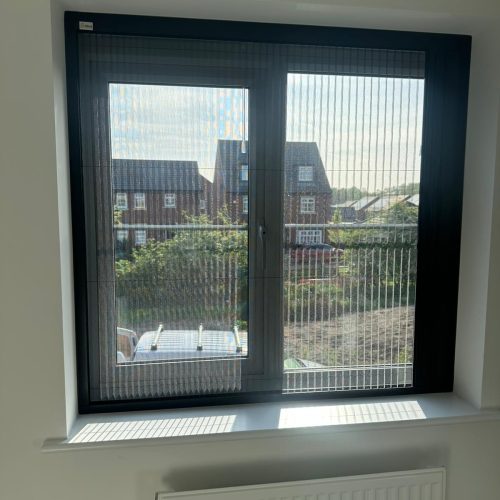 PHOTO-2025-08-19-15-12-52 (3)